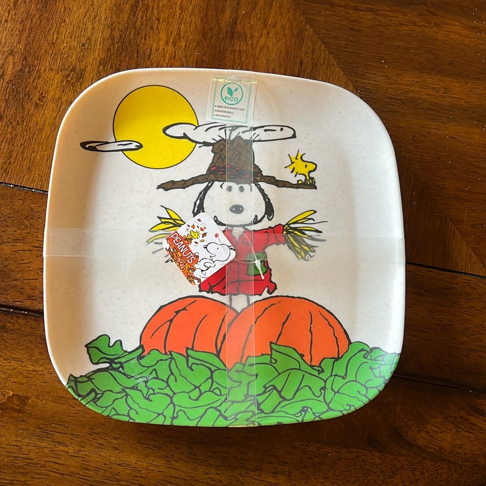 Peanuts Snoopy scarecrow with Woodstock 4 dinner plates